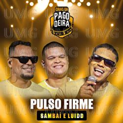 Pulso Firme - Pagodeira, Grupo Samba&iacute;, Luidd