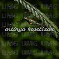 Artinya Kesetiaan - Yugan Destian