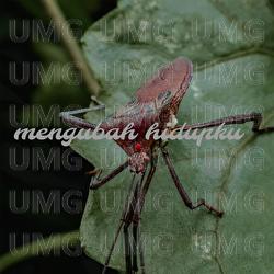 Mengubah Hidupku - Yugan Destian