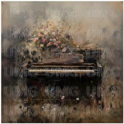 Nocturne No. 20 in C-Sharp Minor, Op. Posth. - Francesca Corelli