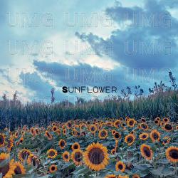 Sunflower - Vincenzo Crimaco