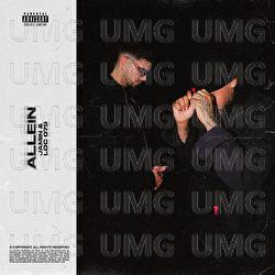 Allein - Jamin, LOC 079