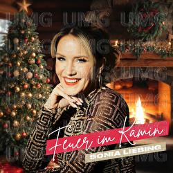 Feuer im Kamin - Sonia Liebing