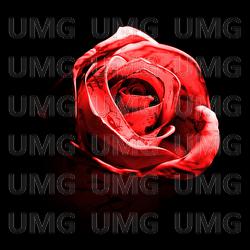 Romantic Homicide - d4vd