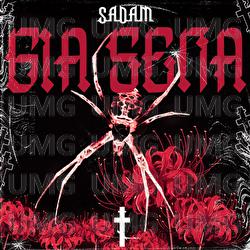 Gia Sena - Sadam, Solid