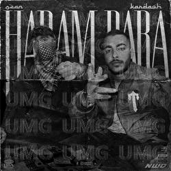 HARAM PARA - Kardash, OZAN BRA