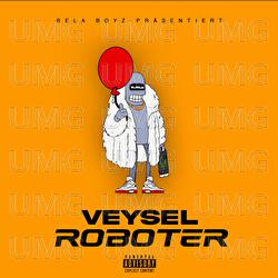 ROBOTER - Veysel
