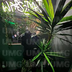 Robi sie salata - Szamz, Młody Dron, Ozzy Baby