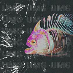 PIRANHA - HEVA