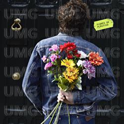 Flores De Pl&aacute;stico - Maximiliano Calvo