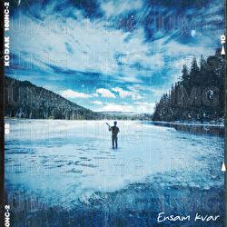 Ensam kvar - Tim Lidman