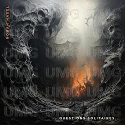 Questions solitaires... - Roman Nagel