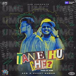 Tane Hu Che? - AKB, Hukeykaran