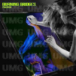 Burning Bridges - PAENDA