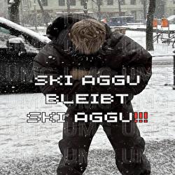 Z0RNIG [2O24] - Ski Aggu
