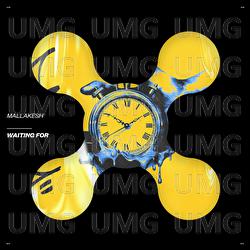Waiting For - Mallakesh