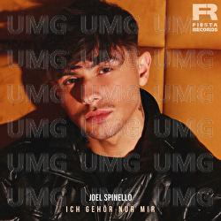 Ich geh&ouml;r nur mir - Joel Spinello