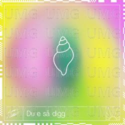 Du e s&aring; digg - Lyse Netter