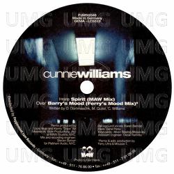 Spirit - Cunnie Williams