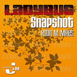 Snapshot - Ladybug