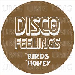 Birds & Honey - Disco Feelings