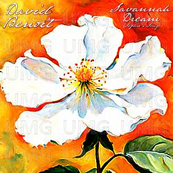 Savannah Dream (Sophie's Song) - David Benoit