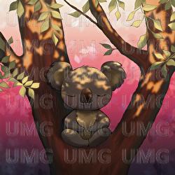 Memories Of Nanà - Calming Koala