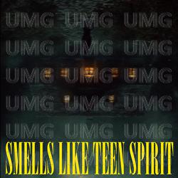 Smells Like Teen Spirit - Tommee Profitt, Fleurie