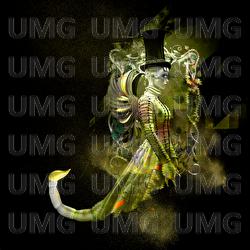 Tasty Scorpion - T4KO PHONK