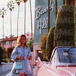Beverly Hills - CIVO, Maxe