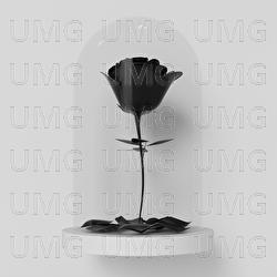 Nossa Regra (Rosa Negra) - Beiro, Jo&atilde;o N&atilde;o