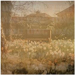 Chopin: Nocturnes, Op. 37: No. 1 in G Minor (Andante sostenuto) - Francesca Corelli