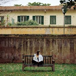 Cinico (500 giorni insieme) - Elex