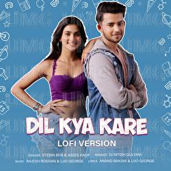 Dil Kya Kare - Stebin Ben, Asees Kaur, DJ Nitish Gulyani