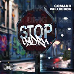 STOP CADRU - COMANN, Vali Miron