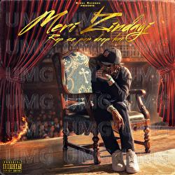 Meri Zindagi Rap Se Pan Deep Hai - MC STAN