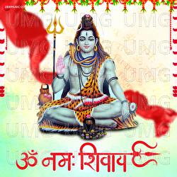 Om Namah Shivay - Anup Jalota, Sanjay Raj Gaurinandan