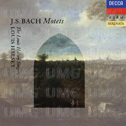 J.S. Bach: Motets - Louis Halsey Singers, Louis Halsey, David Lumsden