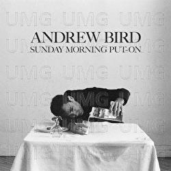 I Cover the Waterfront - Andrew Bird, Alan Hampton, Ted Poor