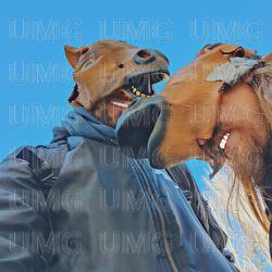 Hyv&auml;n mielen murhabiisi - Horse  Attack Sqwad