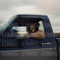 Honeydew - Zachary Knowles