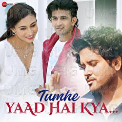 Tumhe Yaad Hai Kya - Javed Ali, Sanjay Mudur