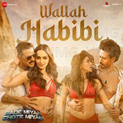Wallah Habibi - Vishal Mishra, Vishal Dadlani, Irshad Kamil