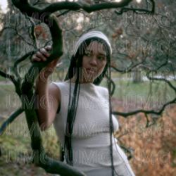 Travelling Forever - Diane Emerita