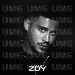ZDY - T&uuml;zz&uuml;n