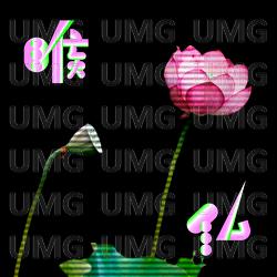 Nodobotoke - CreepHyp