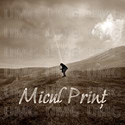 Micul Prinț - Dora Gaitanovici