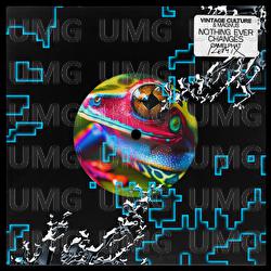 Nothing Ever Changes - Vintage Culture, MAGNUS, CamelPhat