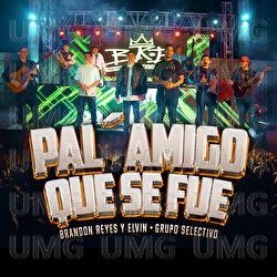 Pal' Amigo Que Se Fue - Brandon Reyes y Elvin, Grupo Selectivo