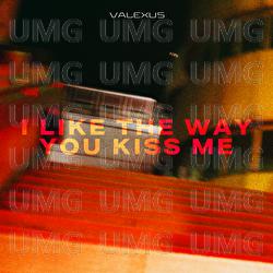 i like the way you kiss me - Valexus